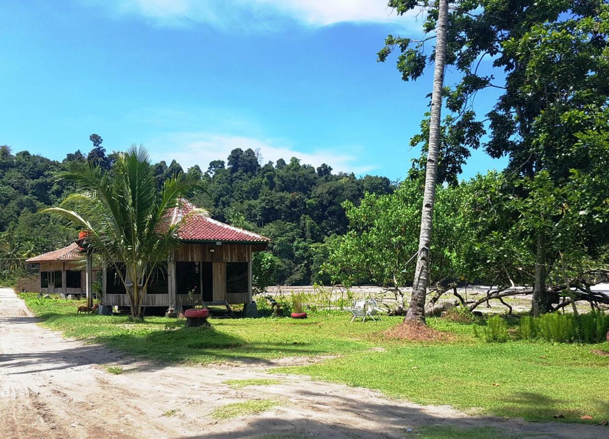 Revive Lampung Krui King Resort Luaran gambar